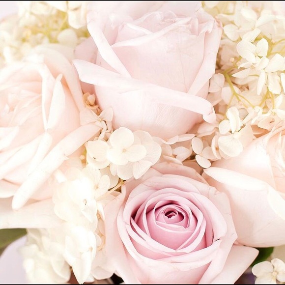 Meet your Posher, Virginia - Picture 1 of 1